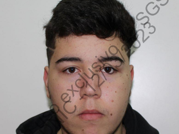Estaba "especializado" en robar objetos del interior de los autos y en comercios pero las cámaras lo delataron; marchó a prisión