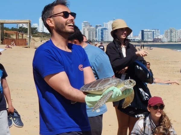 TORUGA VERDE, PARADA 20, PLAYA MANSA, KARUMBÉ