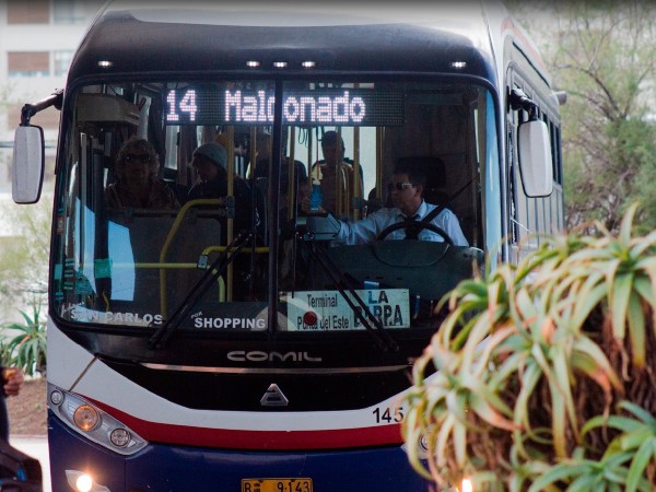 Rigen cambios en circulación de ómnibus del transporte colectivo de pasajeros