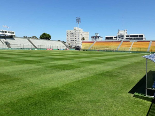 Transportistas Turísticos de Maldonado plantean que se defienda el trabajo local en la final de la Copa Sudamericana