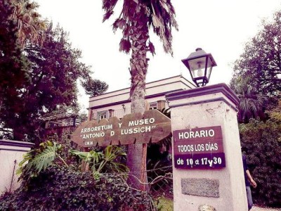 Reclaman por destino de piezas e instalación de azulejos franceses en casona Lussich