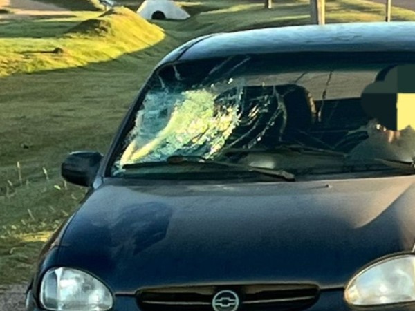 Peatón fue embestido...