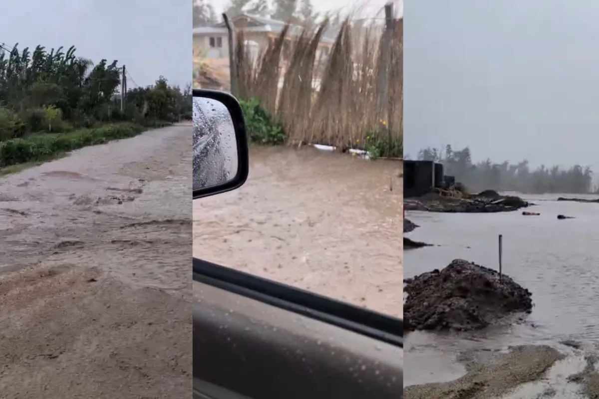 Vecinos de El Tesoro...