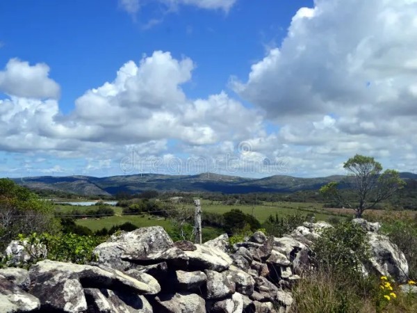 El Presidente de la...