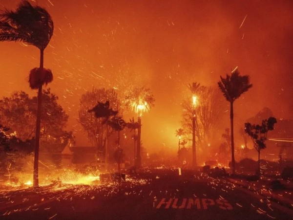 Incendios en California causaron la muerte de al menos 24 personas y consumieron las mansiones de los famosos de Hollywood