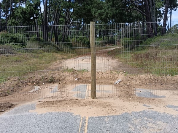 Cursan pedido de inf...