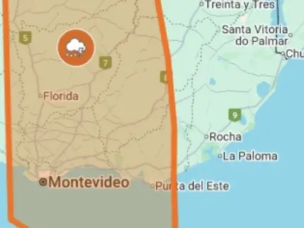 Maldonado bajo alert...