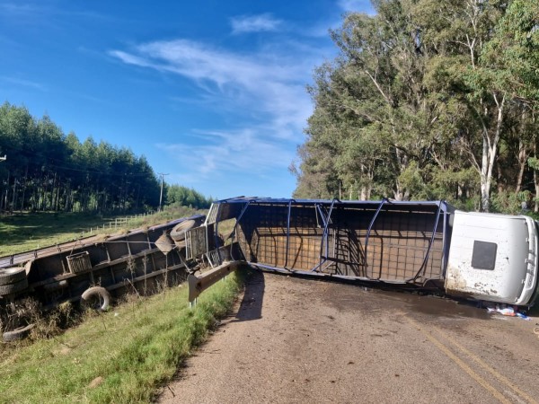 Vuelco con 42 vacunos dejó a Ruta 26 totalmente paralizada
