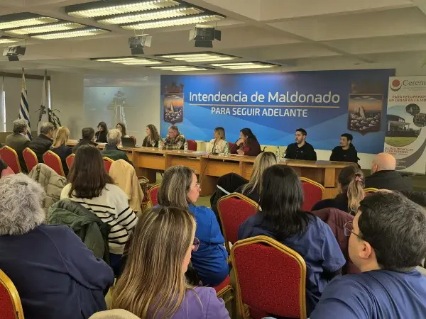 Medula Espinal, Cerema, día Internacional
