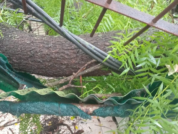 UTE señaló que el ci...