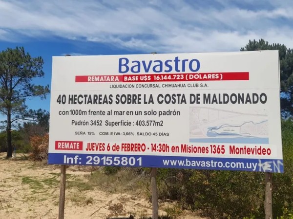 Chihuahua: se remató por US$ 16 millones predio de 40 hectáreas frente al mar y el precio es el más alto pagado por un inmueble en una subasta pública en el país