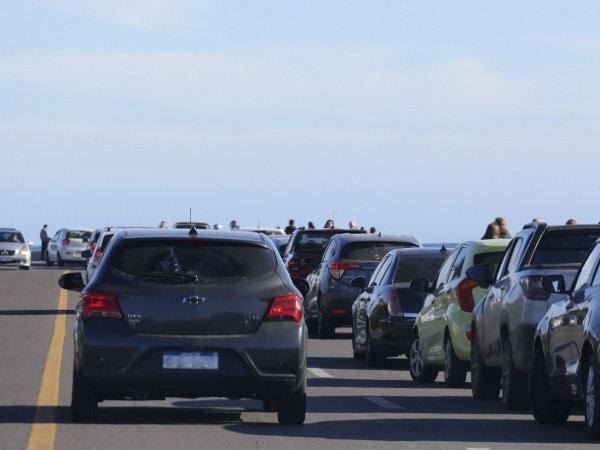 Maldonado es uno de los departamentos con más conductores sin licencia de conducir, aseguró Pígola