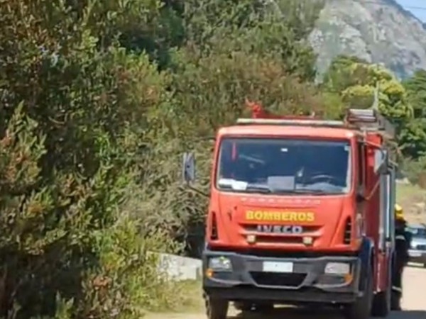 Incendio de vegetaci...