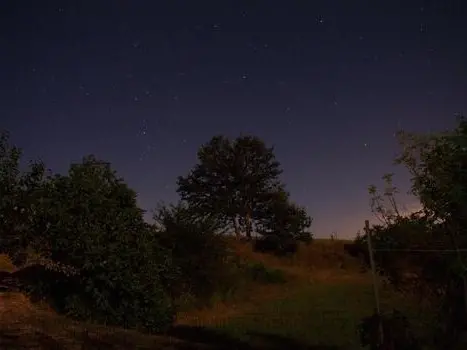 “Vos de acá no te va...