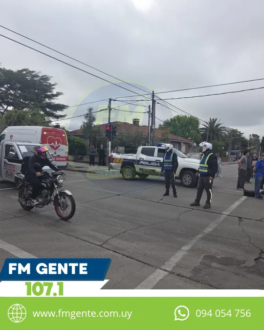 Un niño fue embestid...