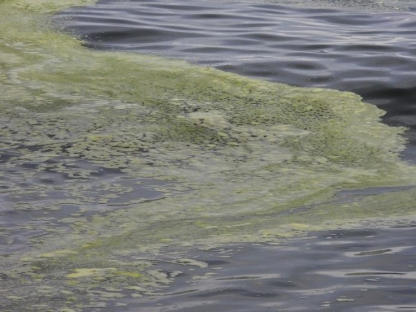 Ministerio de Ambien...