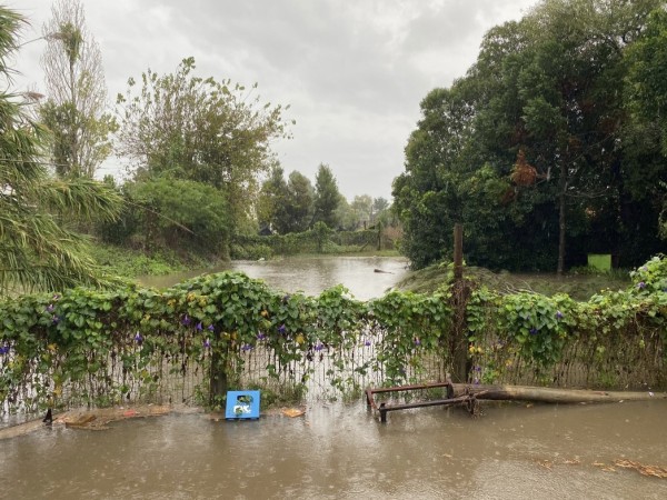 Lluvias intensas dej...