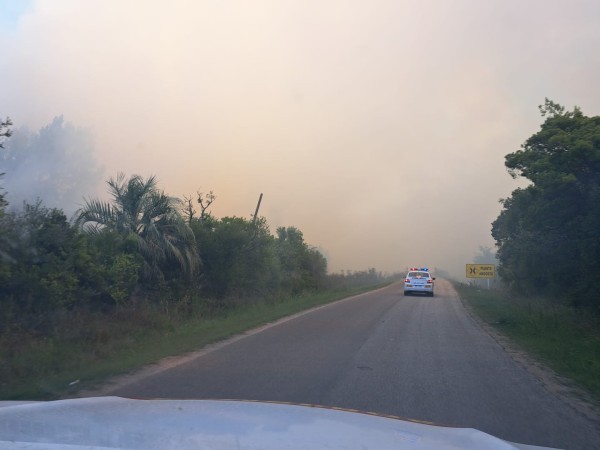 Fue extinguido incen...