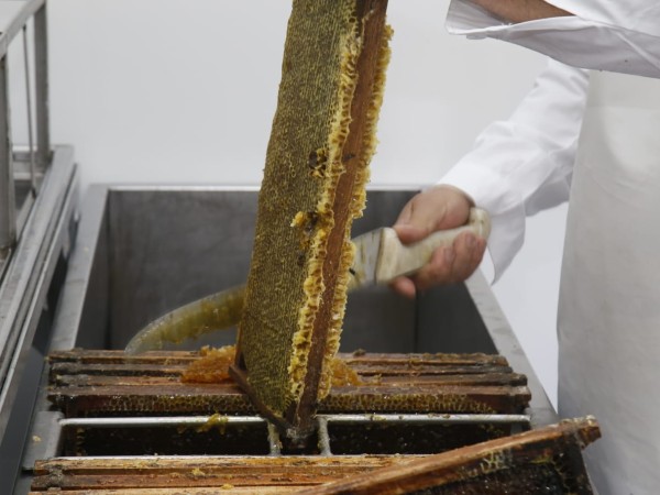 Inauguraron obras de...