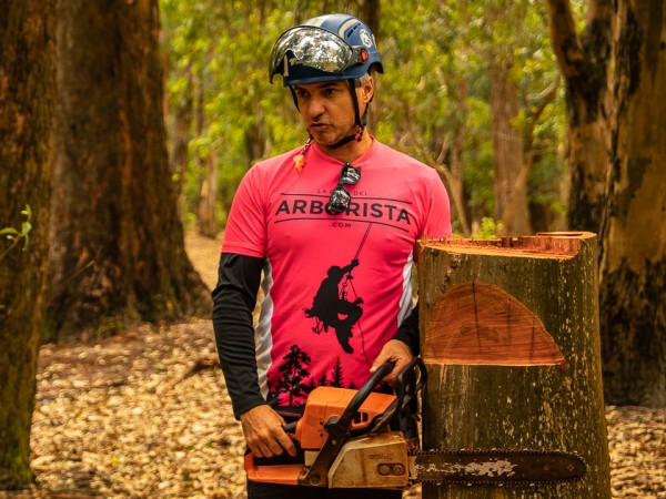 Experto internaciona...