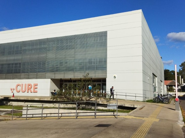 La Udelar aclara que...