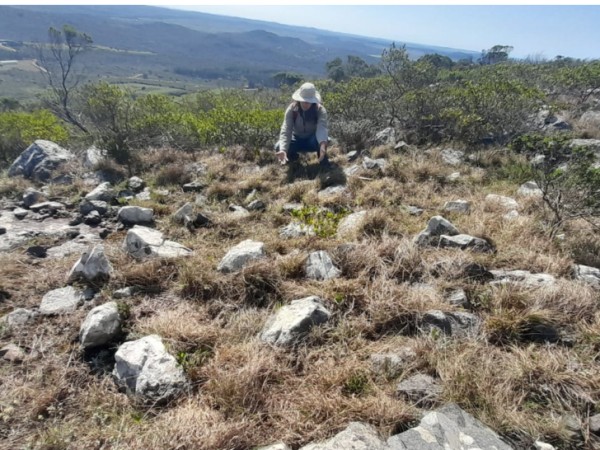 Proyecto arqueológico en Sierra de las Ánimas reveló hallazgos indígenas en la zona