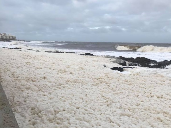 Cecoed advierte por...