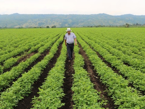 Relevan emprendimientos agroindustriales de la zona para potenciarlos turísticamente