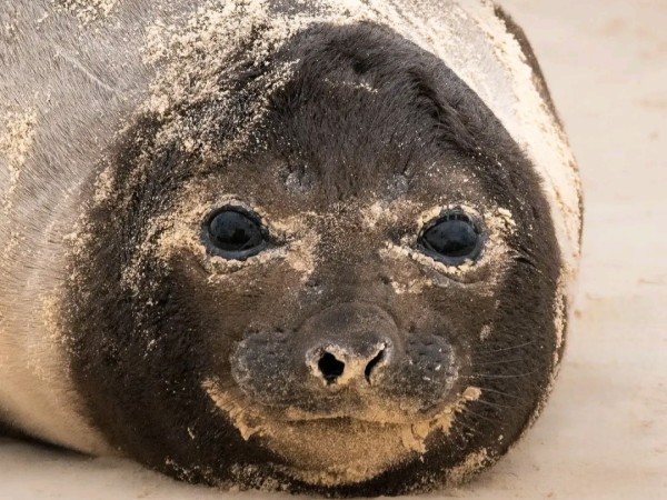 Francisca no para de...