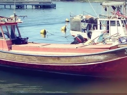 Pescado, venta, Alejandra