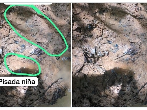 Continúa la búsqueda de los cuatro niños desaparecidos en la selva colombiana