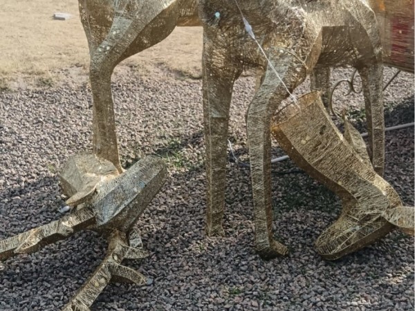 Vandalizaron el árbo...