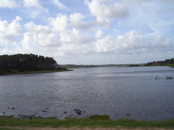 Municipio de Maldonado convocó a Bomberos y vecinos a reunión por incendio en Laguna del Diario