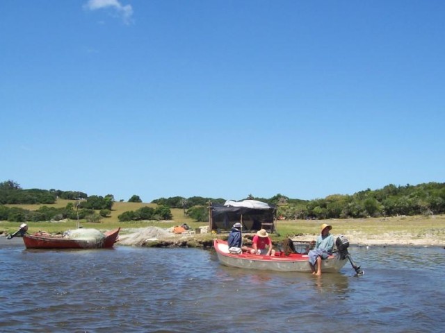 zafra, camarón, Rocha