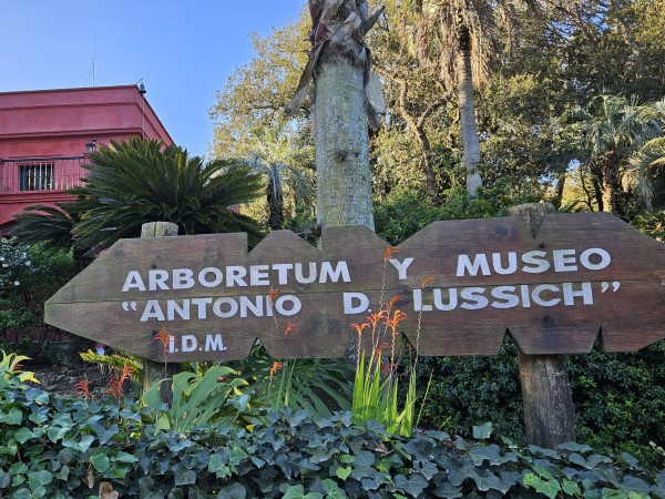 Actividades para el...