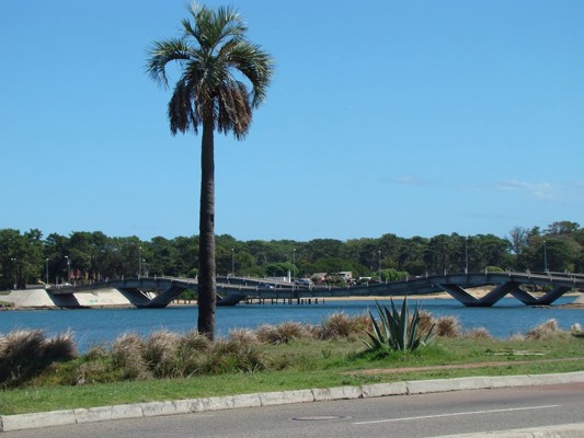 barrio el tesoro, maldonado, reclamos vecinos, asfalto de calles,