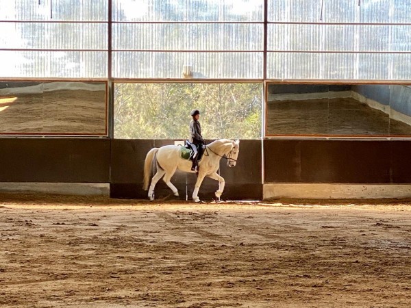 Bomberos extinguió i...