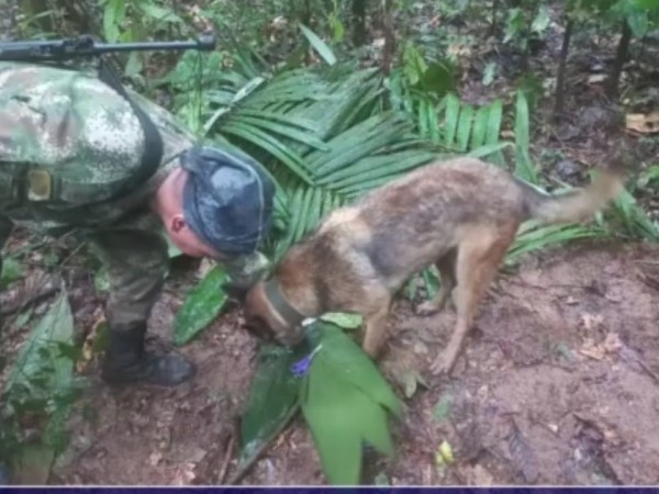 selva colombiana, accidente aereo, niños desaparecidos,