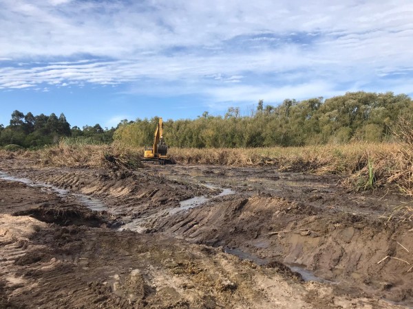 Vecinos de Playa Grande denuncian fraccionamiento ilícito y devastación ambiental