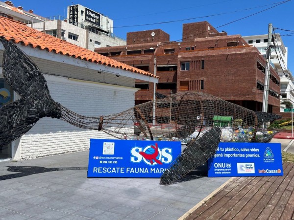 Colocaron contenedor en forma de ballena para depositar envases plásticos