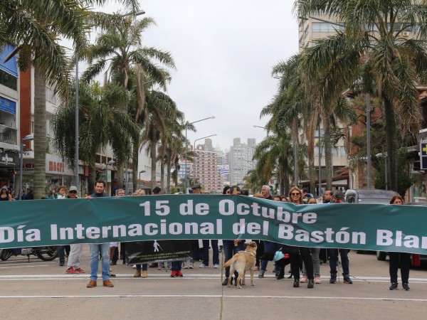 Se celebra en la jornada el Día Internacional del Bastón Blanco