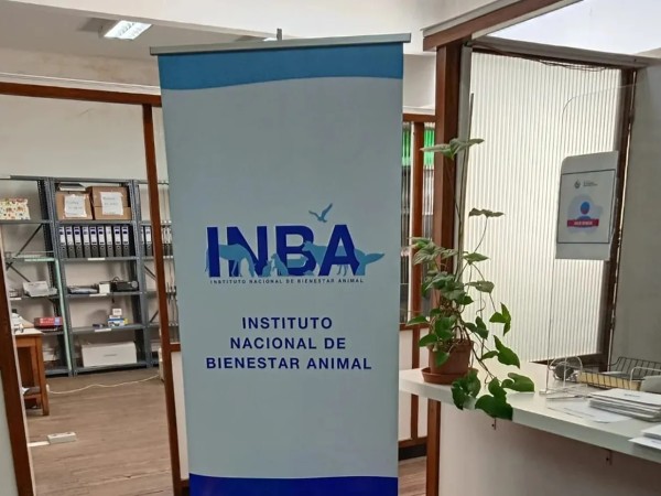 Comisión de Bienestar Animal solicitó reunión con INBA por Protectora de Animales de Maldonado; responsable de la ONG dijo que recibió amenazas