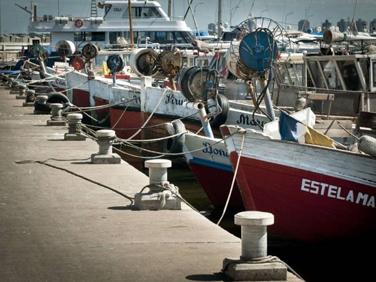 Puerto, Punta del Este, Maldonado, Pesca