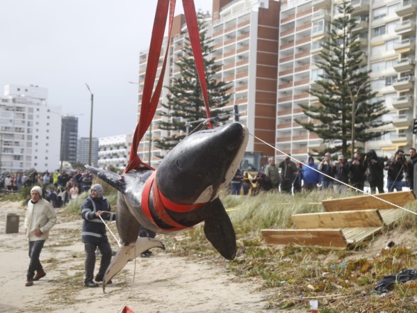 “Había dos caminos,...