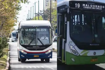 Feriado del 25 de ag...