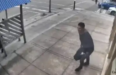 Sigue la búsqueda de...