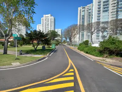 Proponen que dos ave...